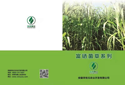 禾木元富硒菌種苗與生物有機肥料的創新研發