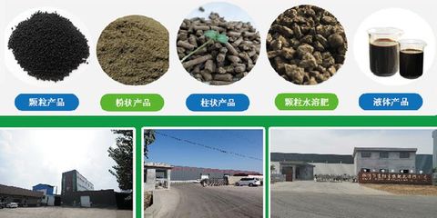 京陽生物致力打造大型純植物源有機肥生產基地，引領綠色農業新風尚
