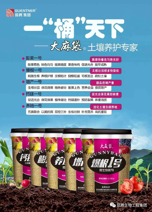 有機肥與生物有機肥的執行標準及其研發趨勢