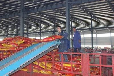 成長(zhǎng)之星 | 源科生物 治理農(nóng)業(yè)面源污染，從土壤修復(fù)開始——生物有機(jī)肥料研發(fā)之路