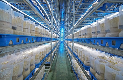 福建省首家農(nóng)業(yè)產(chǎn)業(yè)研究院落戶廈門翔安 專注生物有機(jī)肥料研發(fā)助力綠色農(nóng)業(yè)