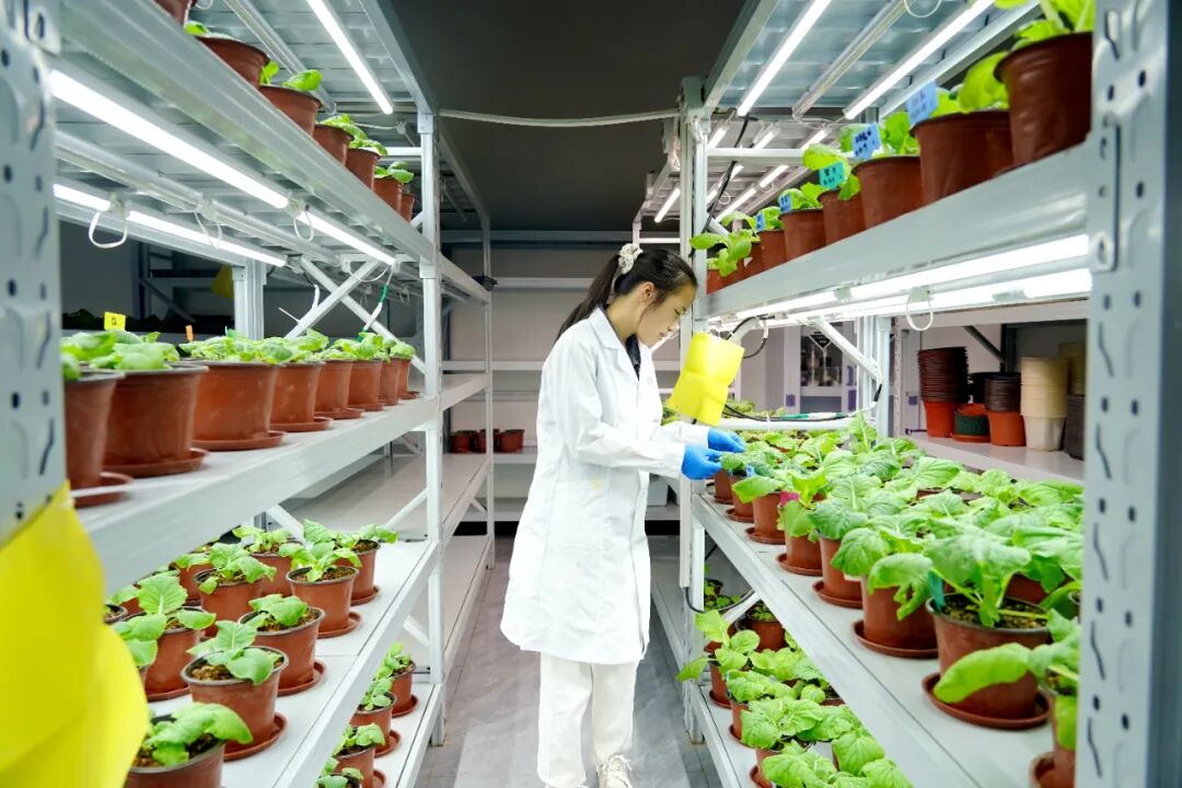 港北區(qū) 循環(huán)產(chǎn)業(yè)鏈賦能，打造有機(jī)無機(jī)‘糖蜜肥’生物有機(jī)肥新篇章