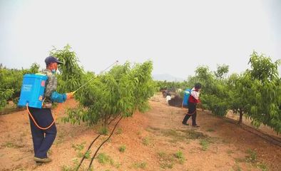 世代海洋生物科技 以科技與創(chuàng)新為雙翼，引領(lǐng)海帶行業(yè)與生物有機(jī)肥研發(fā)新篇章